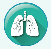 Pneumonia pneumocócica bacterêmica